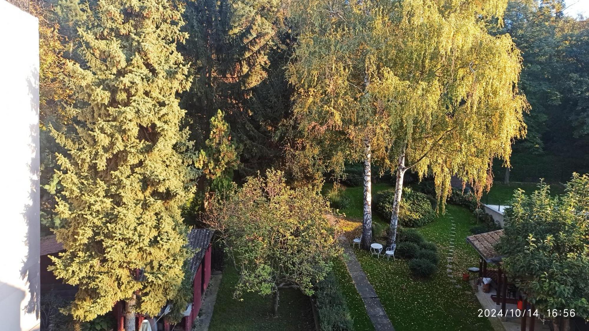 Apartman Oaza Olja Belgrade Exterior photo